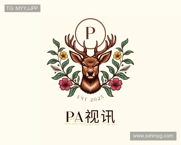 介绍PA视讯